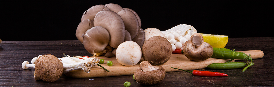 9845a61b7878659d2f83e8c47cff01aa.jpg 9845a61b7878659d2f83e8c47cff01aa.jpg